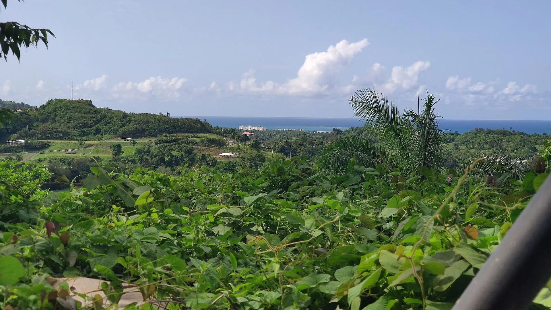 Holiday home Kikis Beach House Villa Fajardo Puerto Rico
